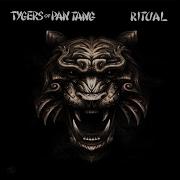 Sail On Tygers Of Pan Tang