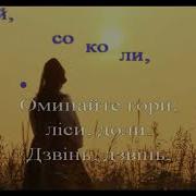 Гей Соколи Мінус