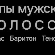 Типы Голосов Бас Баритон Тенор