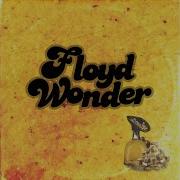 Floyd Wonder Kick Back