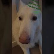 Вам Повестка Из Военкомата