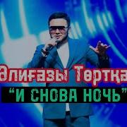 И Снова Снова Ночь Алигазы Торткара