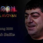 Tatul Avoyan Anush 2020