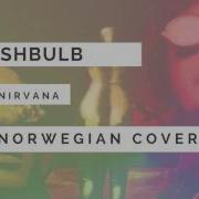 Nirvana Flashbulb