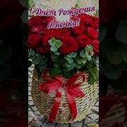 Елена День Рождения
