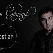 Dostlar Elsever