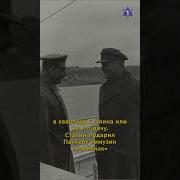 Салина