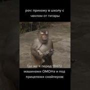 Обезьянка И Гитара Мем