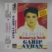 Garip Ayhan