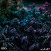 Indica Tmack