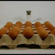 Логика Жизни Тим Харфорд