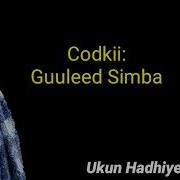 Gulled Simba Asma