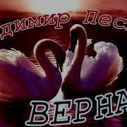 Владимир Песня Верная