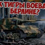 Последний Бой Королевских Тигров