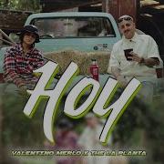 Hoy