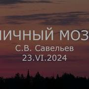 С Савельев Личный Мозг