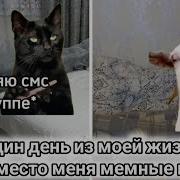 Меме Вместо Меня