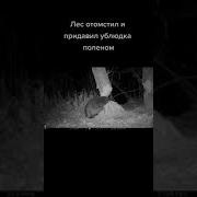 Слышь Ублюдок
