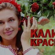 Сборник Шансона Калина Красная