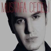 Mustafa Ceceli Limon Çiçekleri