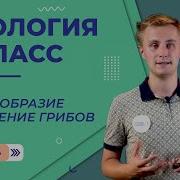 Биология 5 Класс 24 Параграф