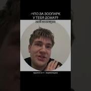 Меме Моя Мармеладка