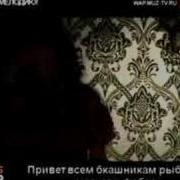 Francheska Knara Королева