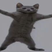 Кот Флексит Под Кешбек На Всё