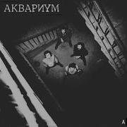 Аквариум Синий Альбом