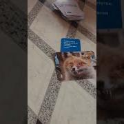 Жизнь Такая Штука Может Всякое Случится