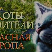 Коты Воители 5 Опасная Тропа 5 Серия