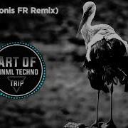 Treetum Storky Adonis Remix