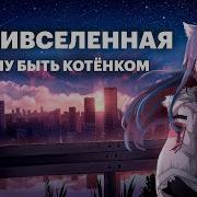 Антивселенная Хочу Быть Котёнком