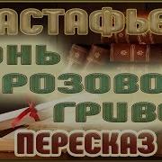 Астафьев В П Конь С Розовой Гривой