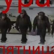 Обезьянки Ура Пятница