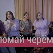 Скачать Минусовку К Песне Не Ломай Черемуху Под Гармонь