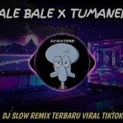 Dj Gemoy Dj Bale Bale X Temunedang