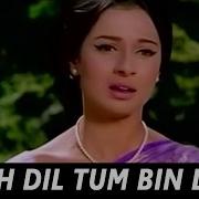 Yeh Dil Tum Bin Kahi Lagta Female