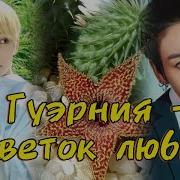 Цветок Сексуальности
