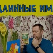 Вернор Виндж