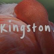 Kingston Faye Webster Lyrics