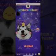 真实磕炮