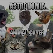 Offin Dance But It S Sounds Like Animals Tony Igy Astronomia Animal