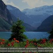 Открылась Дверь Петлюра