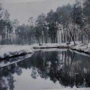 Шефутинский Седая Любовь Моя