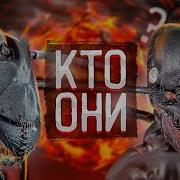 Муравей Стоит Домик