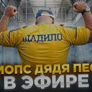 Стример Андрей Стримы