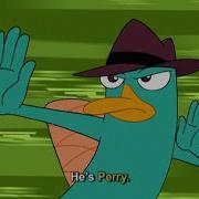 Perry The Platypus Song