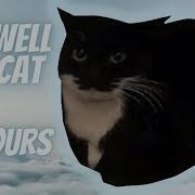 Cat Maxwell 10 Hour