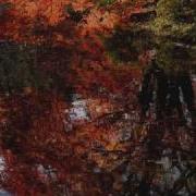 Autumn Leaves Stéphane Grappelli Иегуди Менухин Max Harris